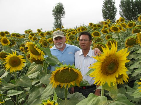 T301Q大颗粒Qa(b)? width=